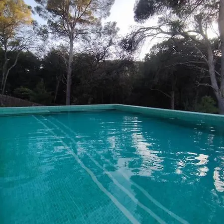 Magnifique Duplex Face A La Foret Апартаменты *