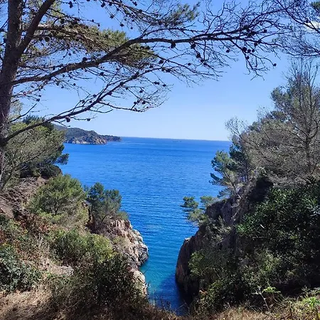 Magnifique Duplex Face A La Foret Begur